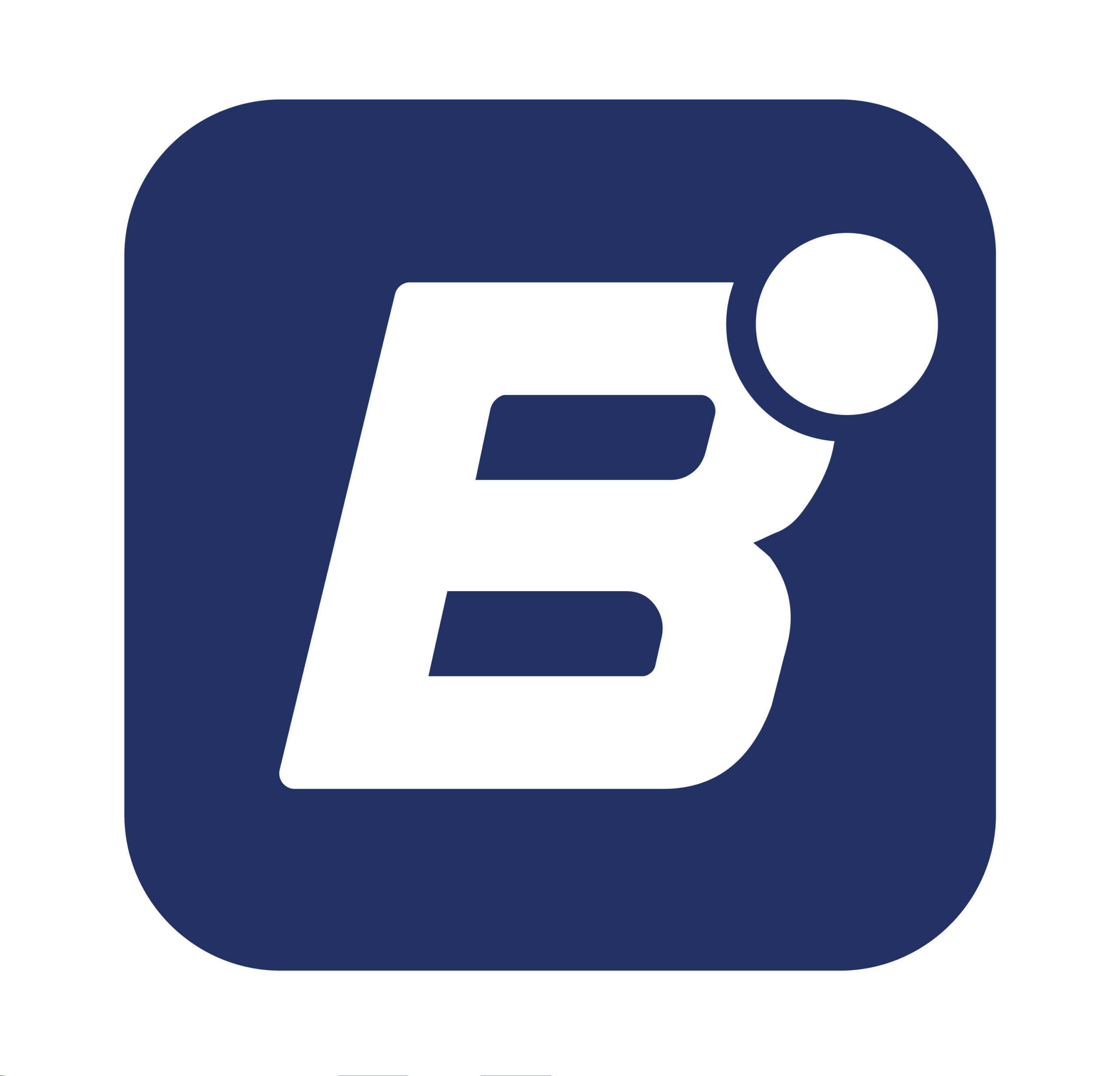 Betinum logo